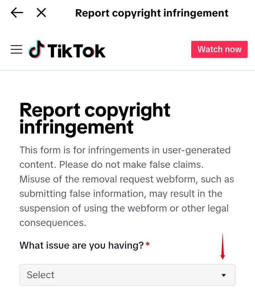 tiktok-dmca-form-app-step-4